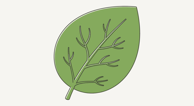 Fresh green spinach leaf illustration with detailed veins hand-drawn style element for organic food designs nature themes and healthy eating concepts