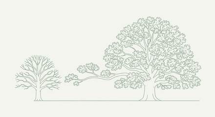 Fototapeta premium A minimalist line art illustration depicting two trees, one bare and one in full foliage, showcasing different stages of growth.