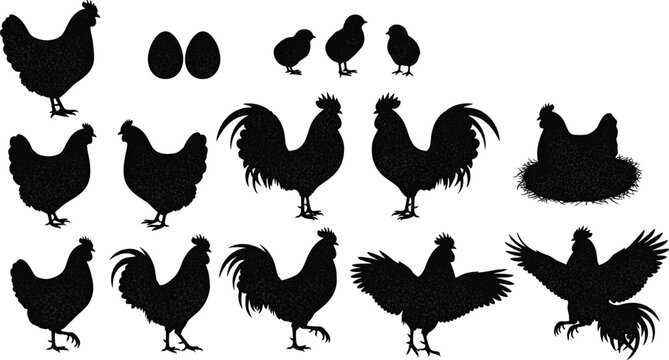 Enchanted Fairytale Kingdom Set with Princesses Dragons Wizards and Magical CastlesEnchanted Fairytale Kingdom Set with Princesses Dragons Wizards and Magical Castles