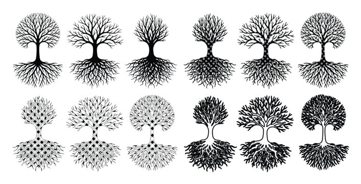 Set of 15 Black and White Abstract Tree and Root Vector Icons isolated PNG with Transparent Background