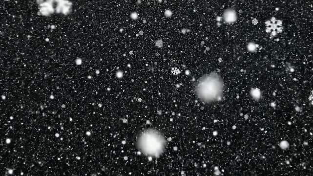 A close-up black and white image captures a flurry of snowflakes gently falling against a dark background, creating a serene and wintry atmosphere.