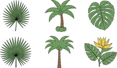Obraz premium Tropical palm trees and monstera leaves botanical set with jungle foliage vector illustration exotic nature plant collection