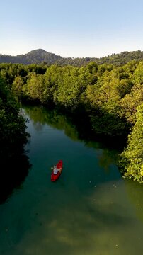 Paddle through the tranquil mangroves of Koh Phayam in Thailand, surrounded by lush greenery and the peaceful sounds of nature. A woman in a kayak glides through a river with a mangrove forest