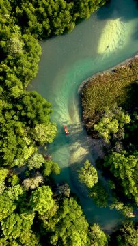 Paddlers in kayak navigate through the lush mangroves of Koh Phayam, Thailand, enjoying the calm waters and vibrant greenery. A perfect escape into nature while immersing in local beauty.