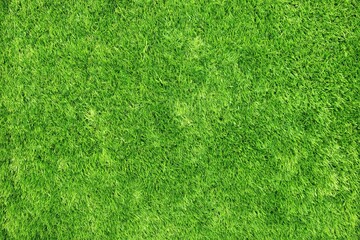 Fototapeta premium A close-up image of vibrant green grass blades evenly covering the ground, showcasing healthy and lush turf.