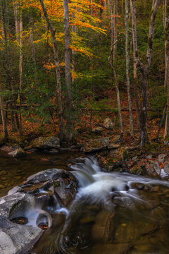 River with small waterfall in autumn with colorful trees