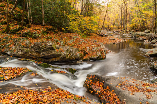 River with small rapids in autumn with colorful trees