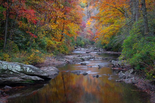 Colorful autumn trees reflected in calm stream in North Georgia