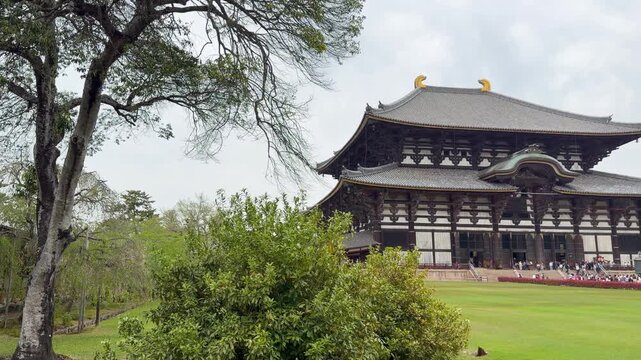 奈良 東大寺大仏と鹿 世界遺産と日本の伝統文化を感じる美しい風景動画