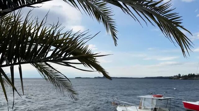 Lago con palma al vento e barca