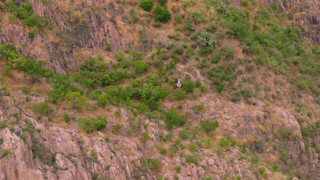 Man on horse carefully makes his way through challenging rocky cliff edge at great height. Aerial view captures rider traversing steep mountainside with sparse vegetation and rugged terrain.