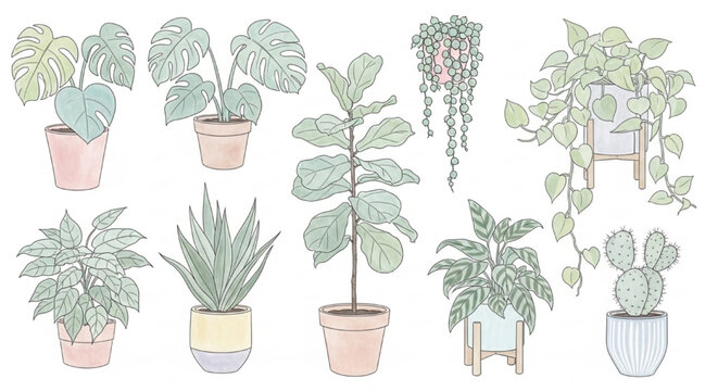 2D Elevation View of Houseplants in Soft Pastels, Vector Art Illustration