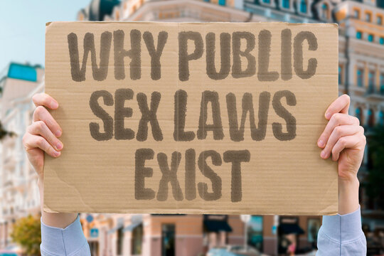 "Why Public Sex Laws Exist" legal history research confirms public sex laws were enacted to protect public decency standards. PUBLIC. SEX. REAL. LAW. LEGAL.