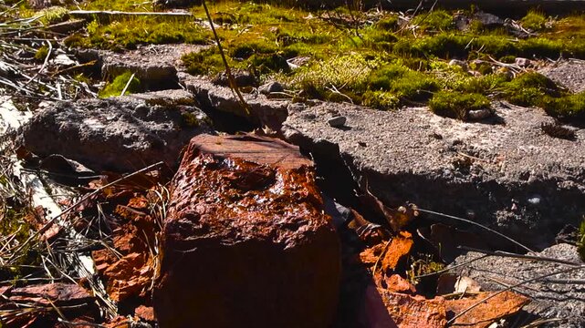 Close Up of Crumbling Brick and Moss Covered Rubble