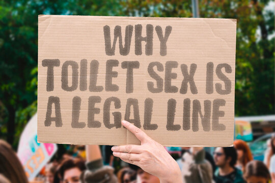 "Why Toilet Sex Is A Legal Line" public decency law research confirms restroom sexual activity crosses clear legal boundaries. TOILET. SEX. REAL. LEGAL. PUBLIC.