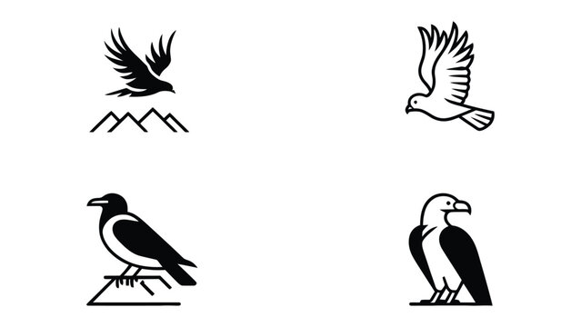 Avian Illustrations Collection: A collection of various line art illustrations of different birds, from soaring eagles to serene doves, conveying the diversity of the avian world.