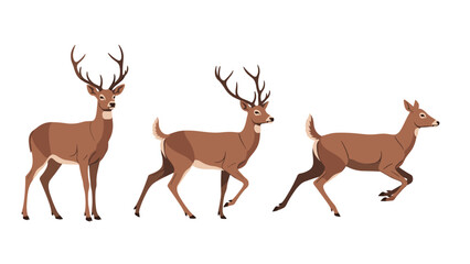 Obraz premium Group of three graceful deer in different poses including a buck with antlers and a doe walking in the wild.