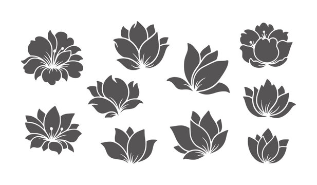 Collection of dark grey floral silhouettes white flower bloom petal
