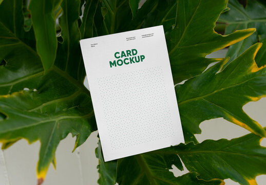Card Beetwen Ficus Mockup