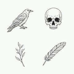 Naklejka premium Raven skull feather and branch illustrations set on white background