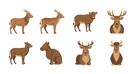 Obraz premium Various deer illustrations in different poses isolated on a white background