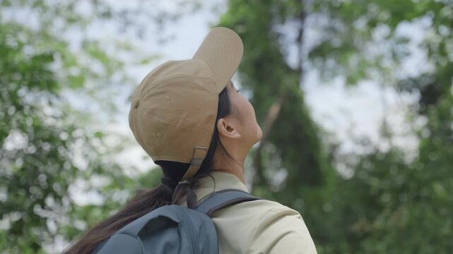 Young girl biologist ecologist look at different types green leaf, analyze cover of tree, wood while exploring rainforest to collect data samples for research, health biodiversity smart reforestation