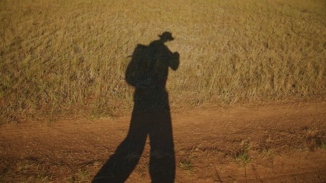 Silhouette of traveler with backpack on dirt path through golden field. Person holds camera, capturing scenic view. Warm light casts long shadow, suggesting sunset or sunrise