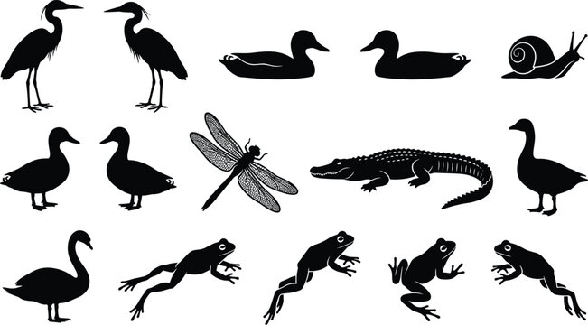 Wetland animal silhouette illustration collection featuring heron, duck, snail, dragonfly, alligator, goose, swan, frog, aquatic wildlife concept, vector design set