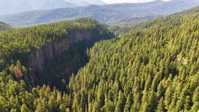 Slow pan up - Geological rock formation cliff wall forest with MT Rainier