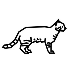 Pampas cat © bis