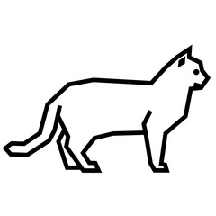 British Shorthair © bis