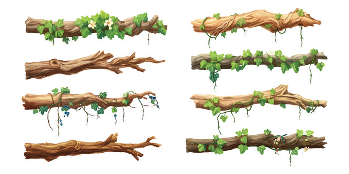 Watercolor set of horizontal wooden branches logs with climbing ivy vines blossoming flowers and berries isolated on transparent background