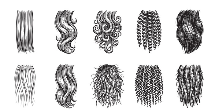 A collection of hand-drawn illustrations showcasing various hair types and styles, including straight, wavy, curly, and coily textures in a monochrome sketch style.