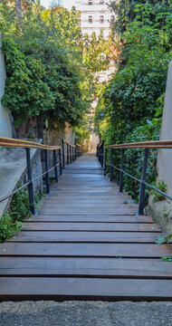 A view looking down the narrow wooden Kapucinske stube in Zagreb surrounded by lush green ivy and trees