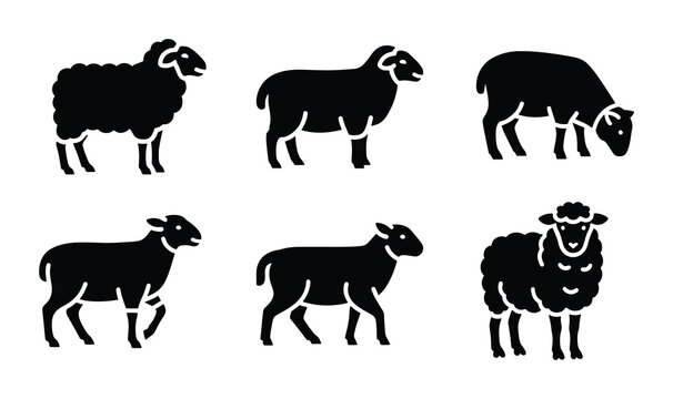 Minimalist sheep silhouette icons, set of 6 black farm animal vector graphics, woolly ram and ewe livestock symbols for agricultural branding