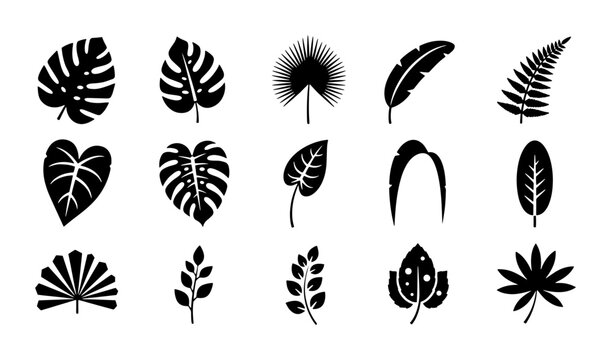 Tropical leaf silhouette collection, 15 black botanical vector icons, monstera and palm foliage set, exotic jungle plant elements for summer design