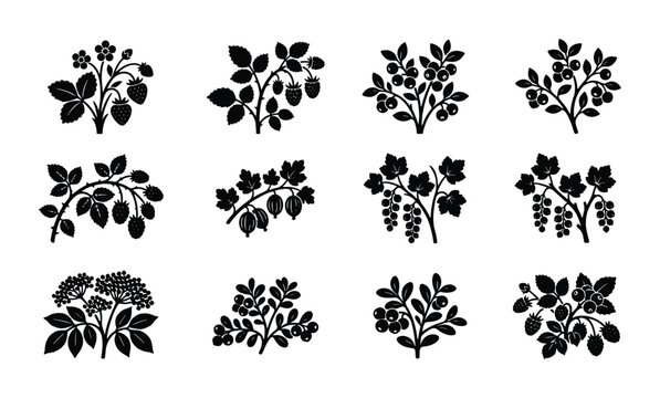 Vintage berry branch silhouettes, collection of 12 botanical fruit icons, black garden plant vector elements for organic food packaging