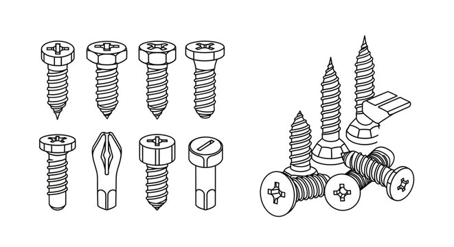 Assorted metal screws and fasteners.
