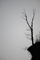 horyzont, barwa, sundown, niebo, słońce, chmura, natura, zachód słońca, góry, krajobraz, wschody, dzisiejszy wieczór, piękne, brzask, poranek, blękit, cloudscape, panoramiczne, drzew, iskra, wieczorny © Adrian Jaśpiński