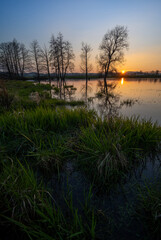 Las, rośliny, wiosna, drzewa, krajobraz ,natura, woda, trawa  © Adrian Jaśpiński