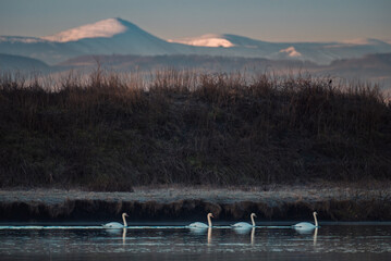 horyzont, barwa, sundown, niebo, słońce, chmura, natura, zachód słońca, góry, krajobraz, wschody, dzisiejszy wieczór, piękne, brzask, poranek, blękit, cloudscape, panoramiczne, drzew, iskra, wieczorny © Adrian Jaśpiński