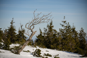 horyzont, barwa, sundown, niebo, słońce, chmura, natura, zachód słońca, góry, krajobraz, wschody, dzisiejszy wieczór, piękne, brzask, poranek, blękit, cloudscape, panoramiczne, drzew, iskra, wieczorny © Adrian Jaśpiński