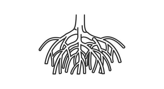 Detailed illustration of bronchial tubes.