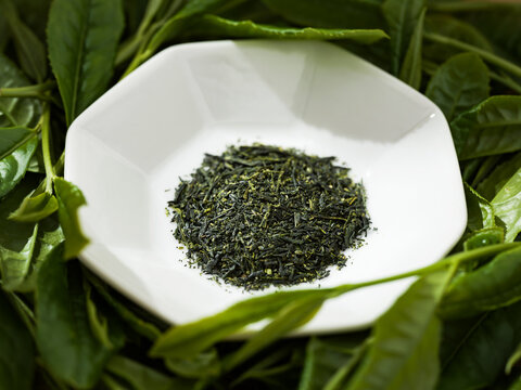 茶葉　煎茶