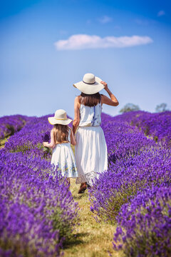 Rear view of a beautiful mother and her daughter in white summer dresses standing on a colourful lavender field in full bloom