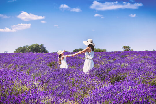 A happy mother and her daughter in white dresses enjoying a colorful lavender field in full bloom during summer time