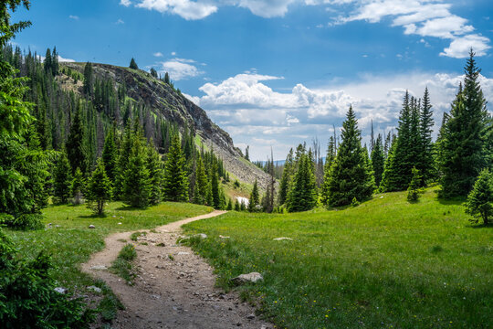 Scenic Rocky Mountain Landscape with Evergreen Hillside in Rocky Mountain NP, Colorado