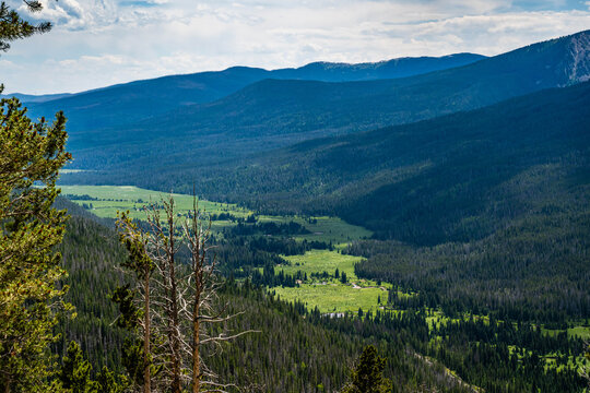 Scenic Rocky Mountain Landscape with Evergreen Hillside in Rocky Mountain NP, Colorado