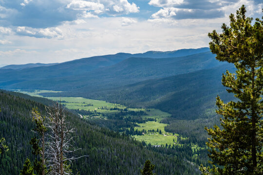 Scenic Rocky Mountain Landscape with Evergreen Hillside in Rocky Mountain NP, Colorado