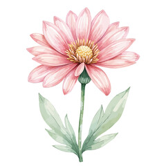 Obraz premium Pink Watercolor Flower Dahlia with Green Stem and Leaves